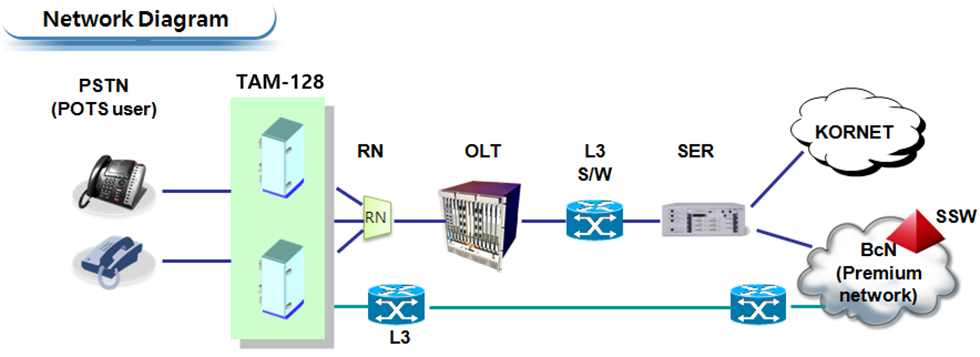 Network Diagram